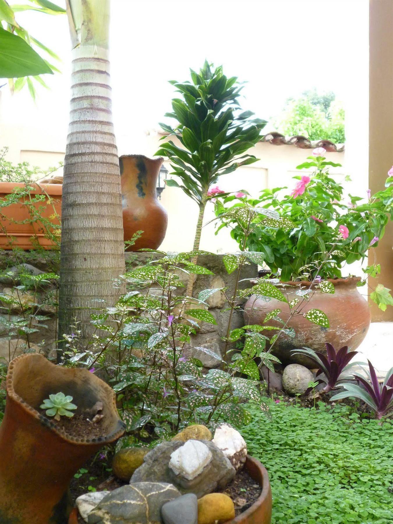 Hotel La Escalinata Copan Экстерьер фото