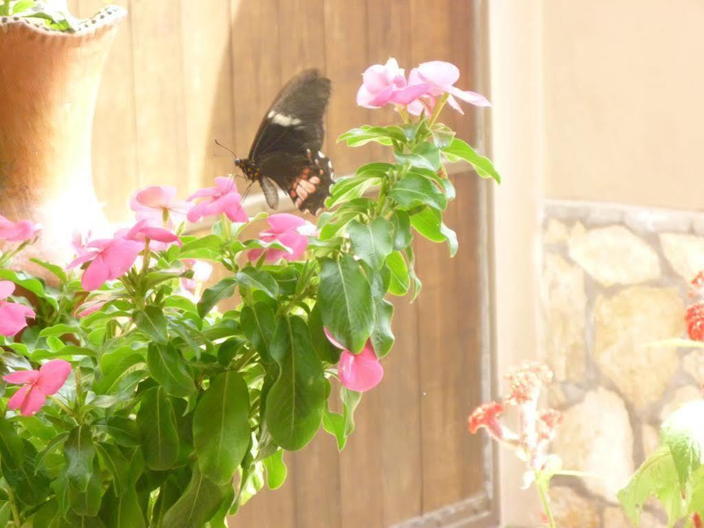 Hotel La Escalinata Copan Экстерьер фото